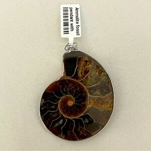 One of A Kind Ammolite Fossil Pendant